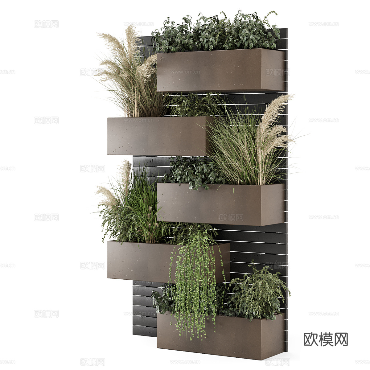 现代意式绿植墙 植物墙3d模型