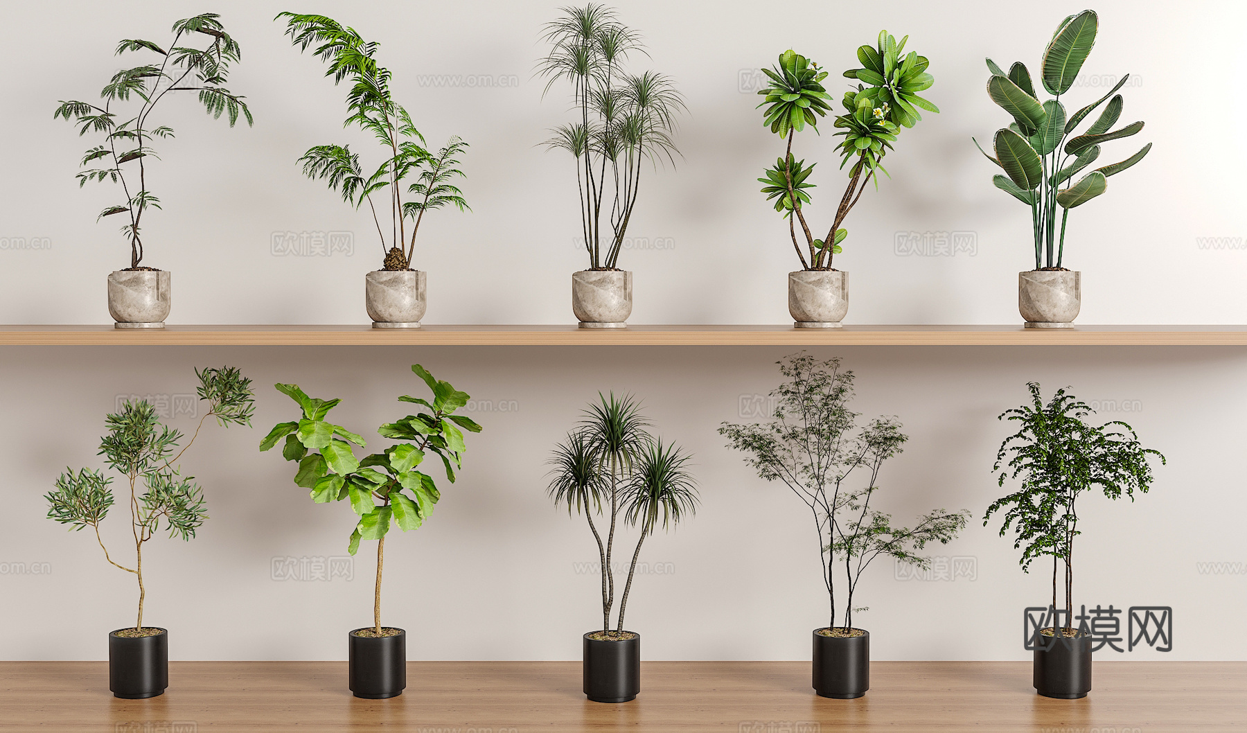 绿植盆栽组合3d模型