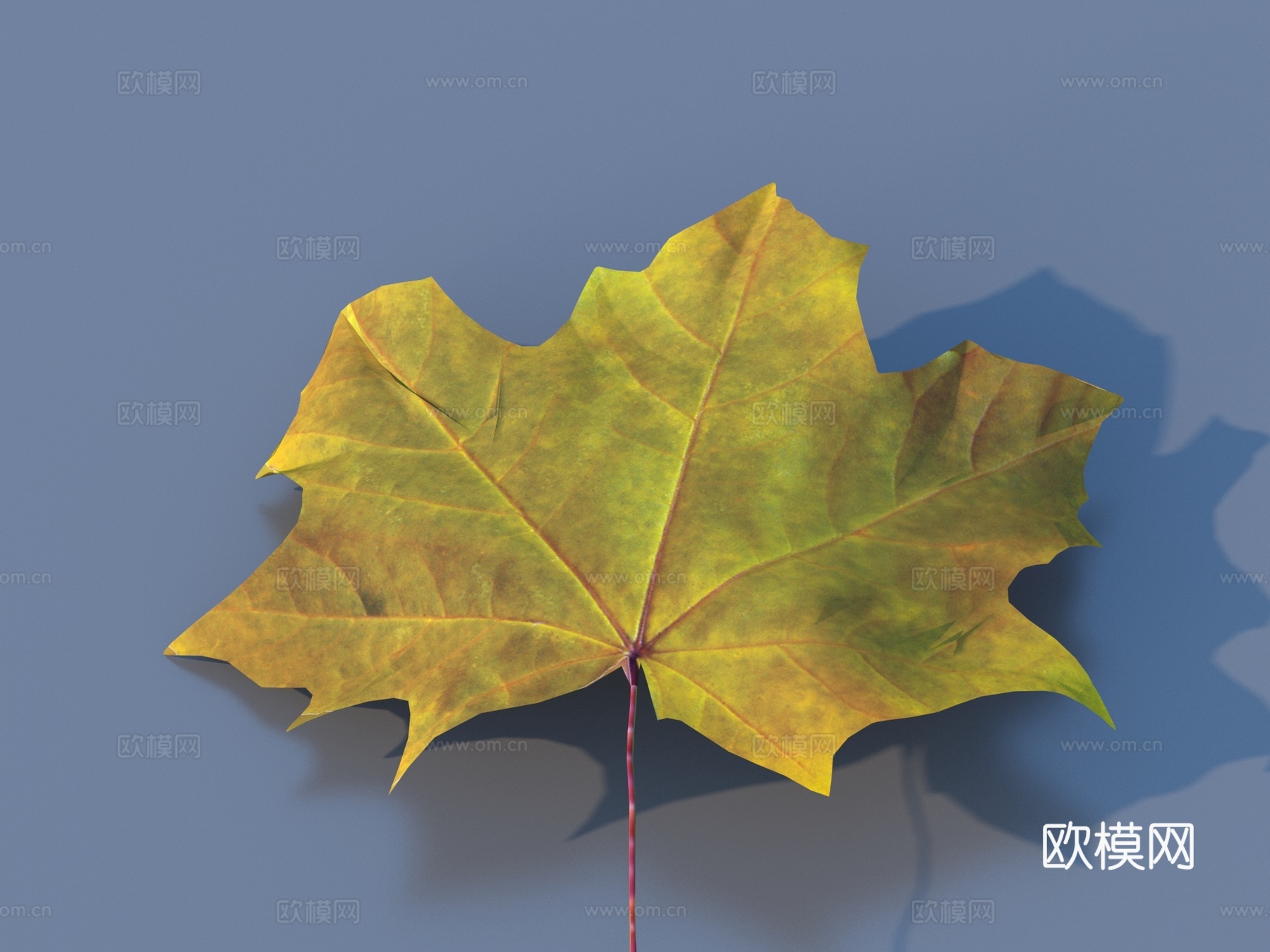 落叶 树叶 植物3d模型