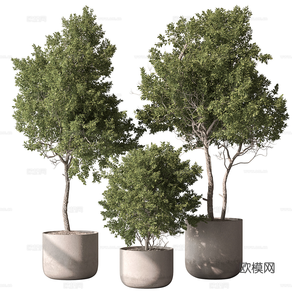 现代奶油风绿植盆栽3d模型