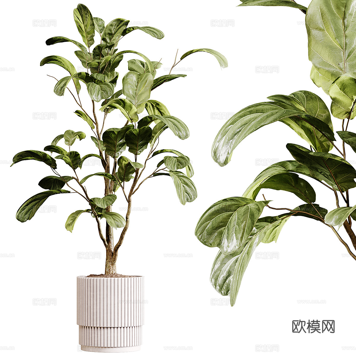 现代奶油风绿植盆栽3d模型