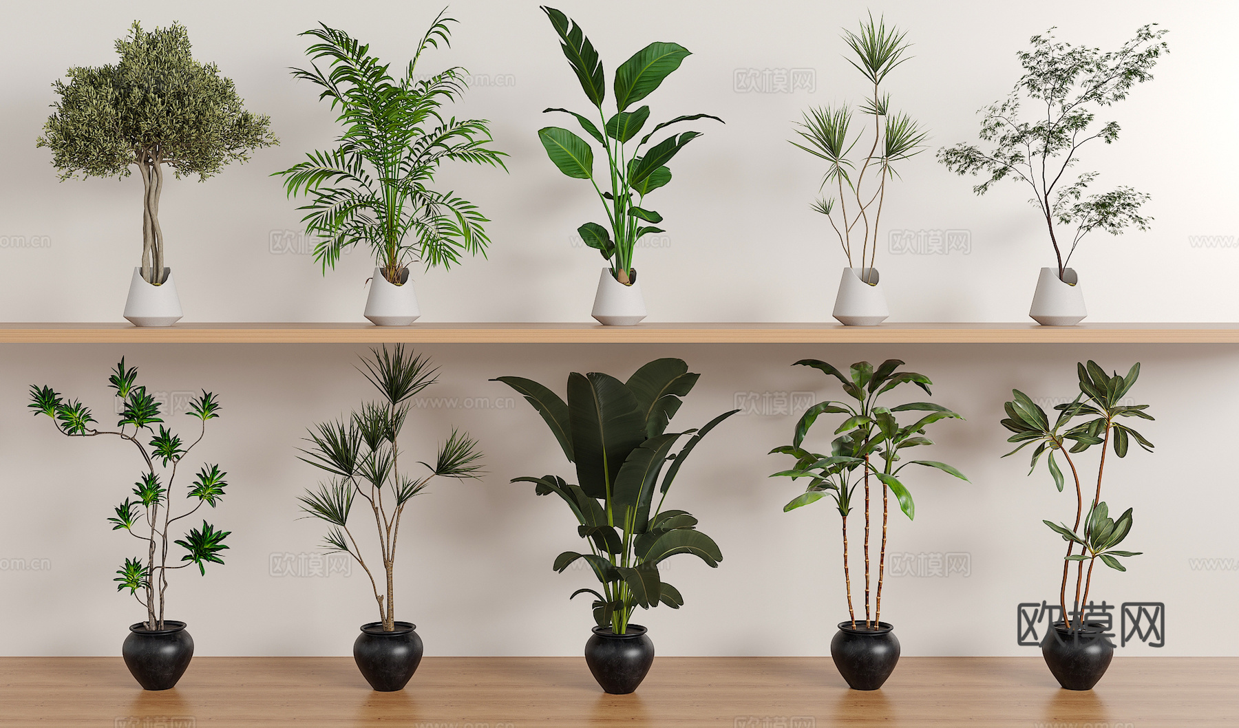 绿植盆栽组合3d模型