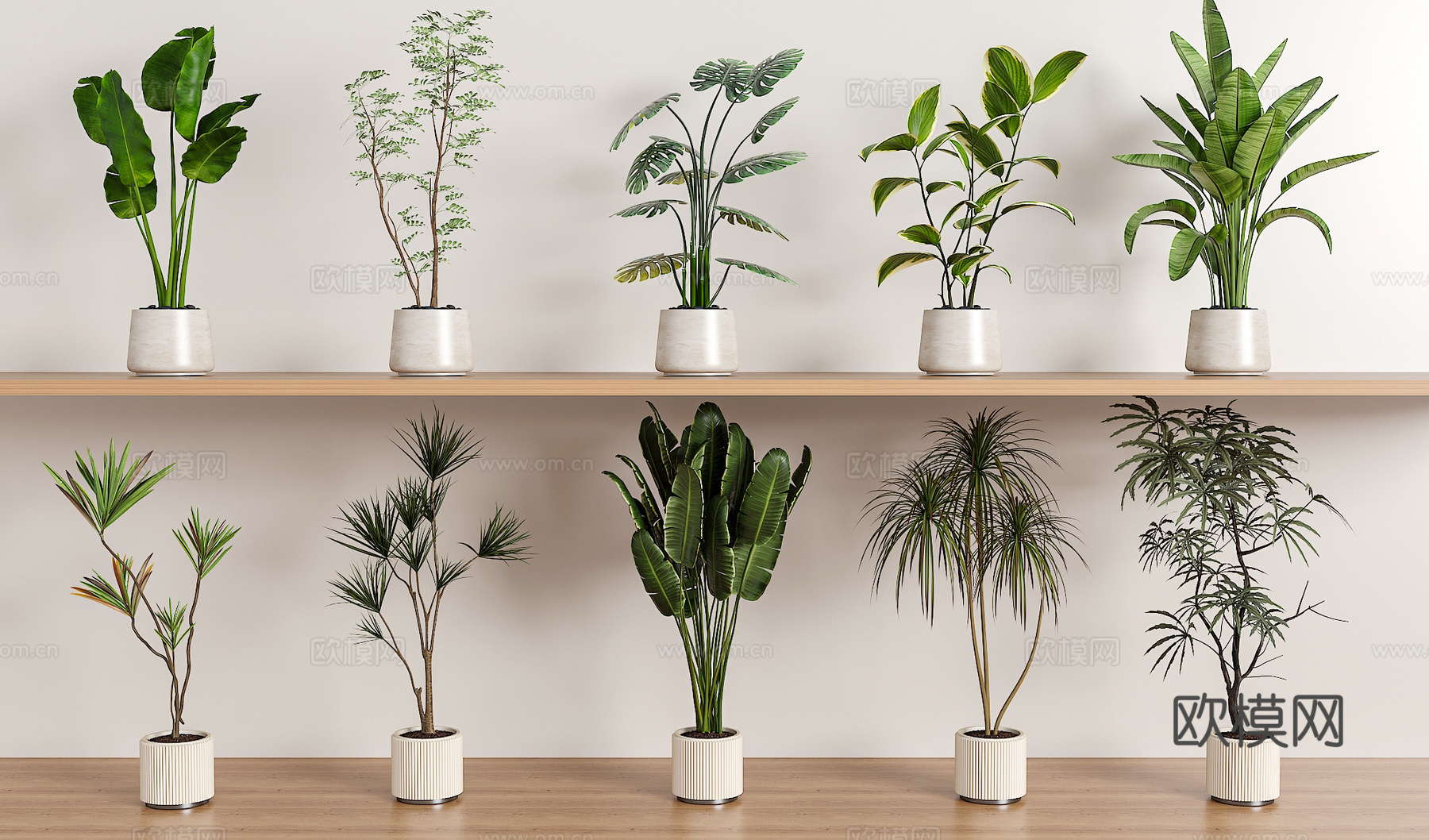 绿植盆栽组合3d模型