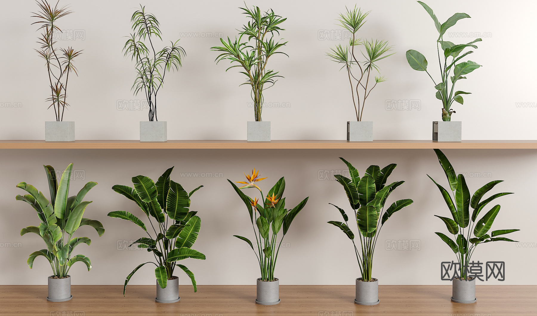 绿植盆栽组合3d模型