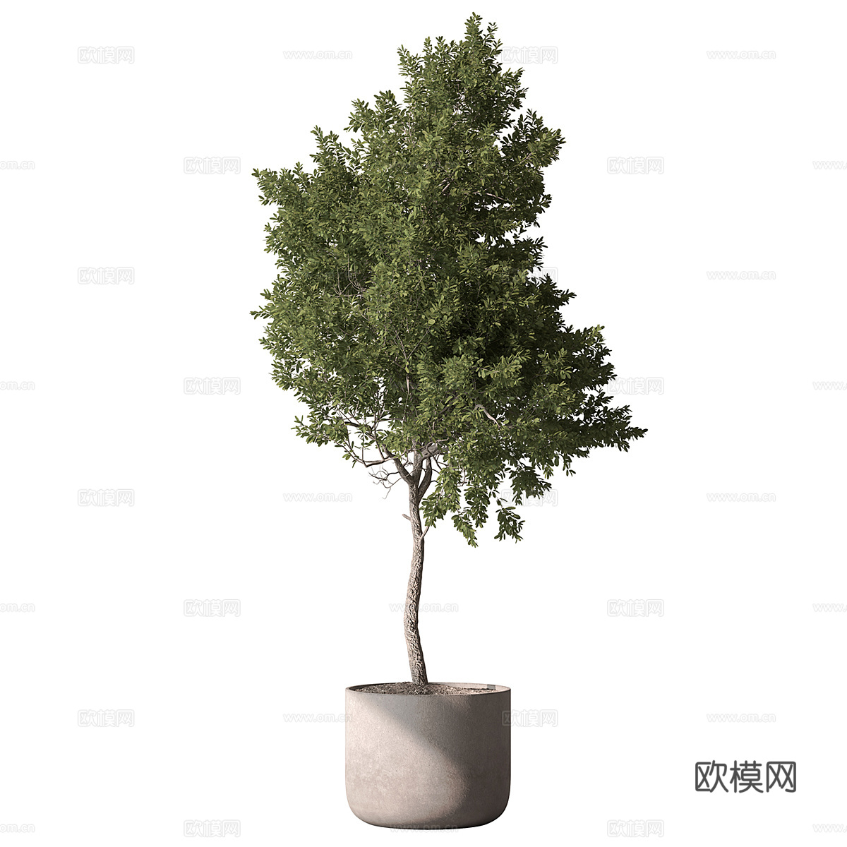 现代奶油风绿植盆栽3d模型