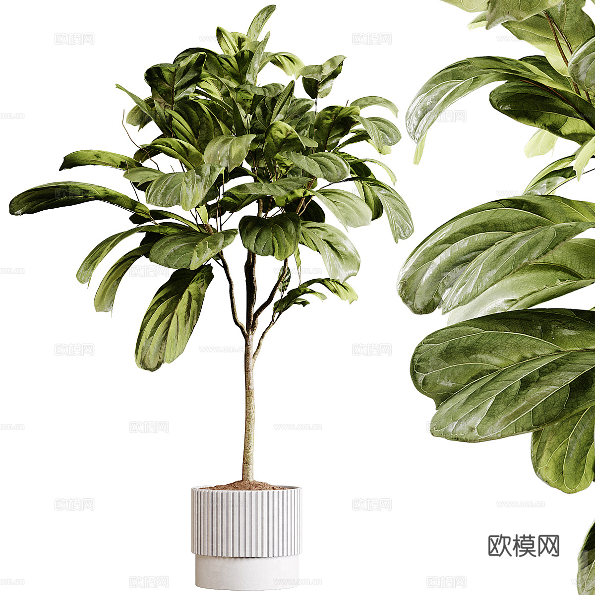 现代奶油风绿植盆栽3d模型