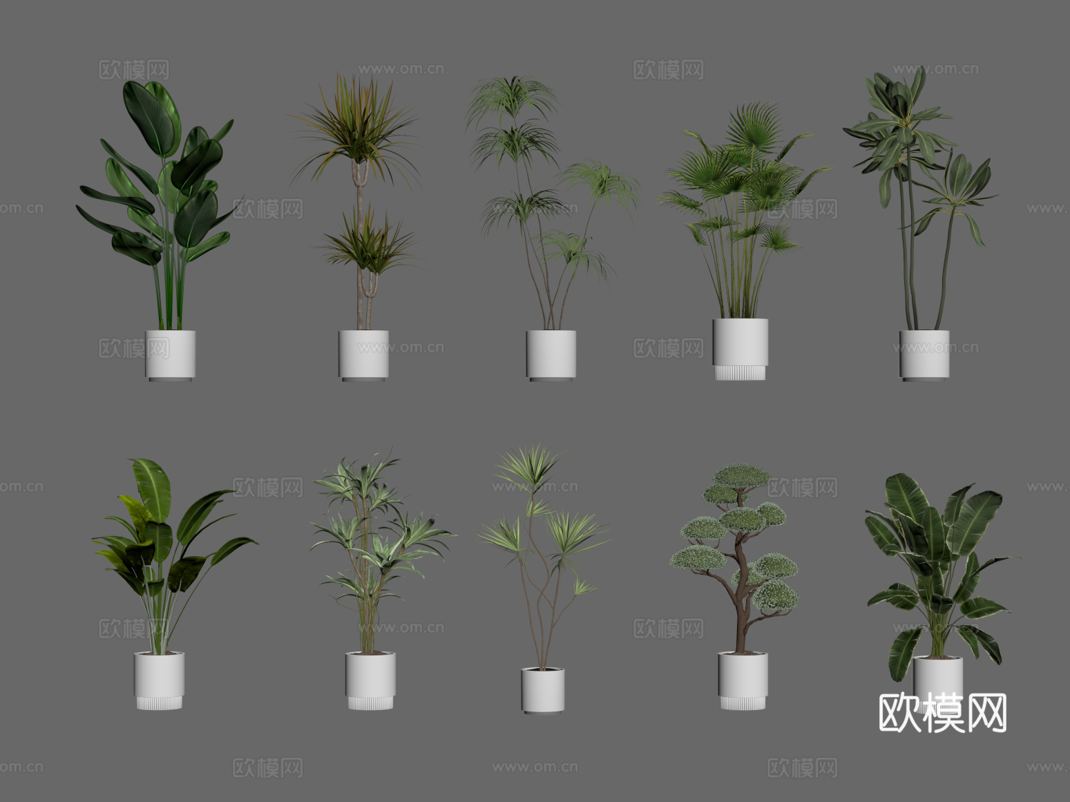 现代盆栽 绿植su模型