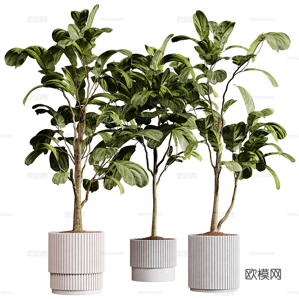 现代奶油风绿植盆栽3d模型