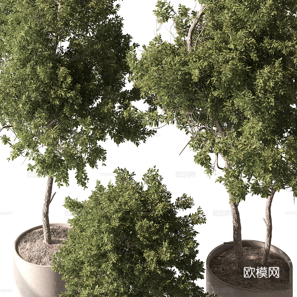 现代奶油风绿植盆栽3d模型