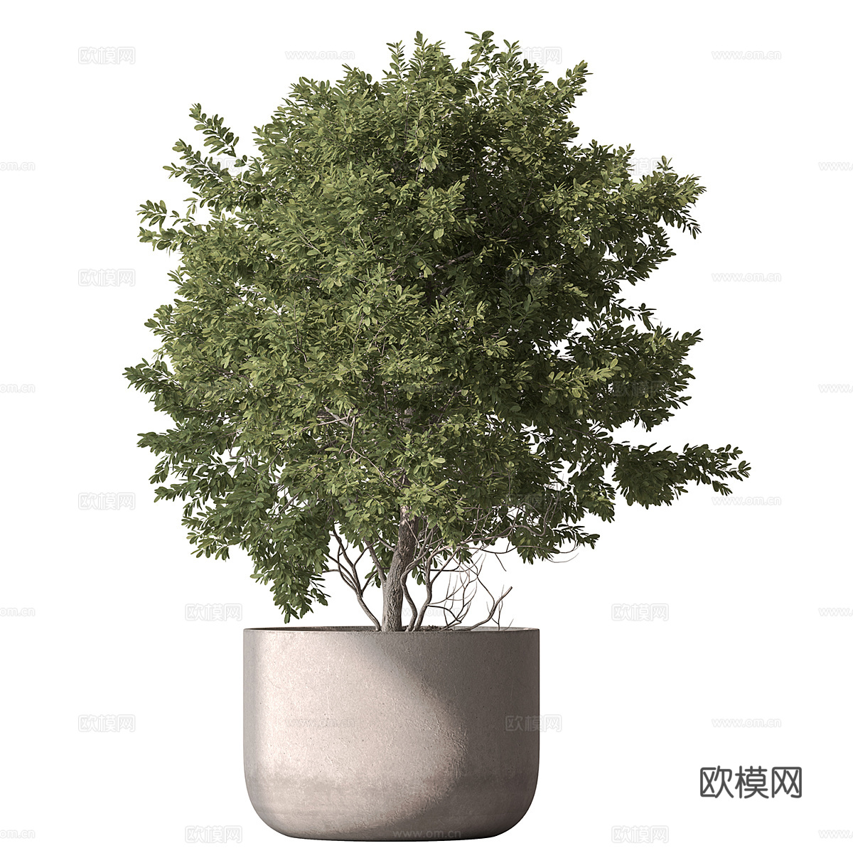 现代奶油风绿植盆栽3d模型