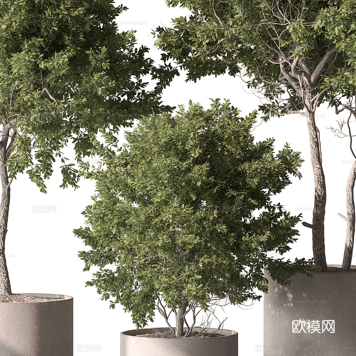 现代奶油风绿植盆栽3d模型