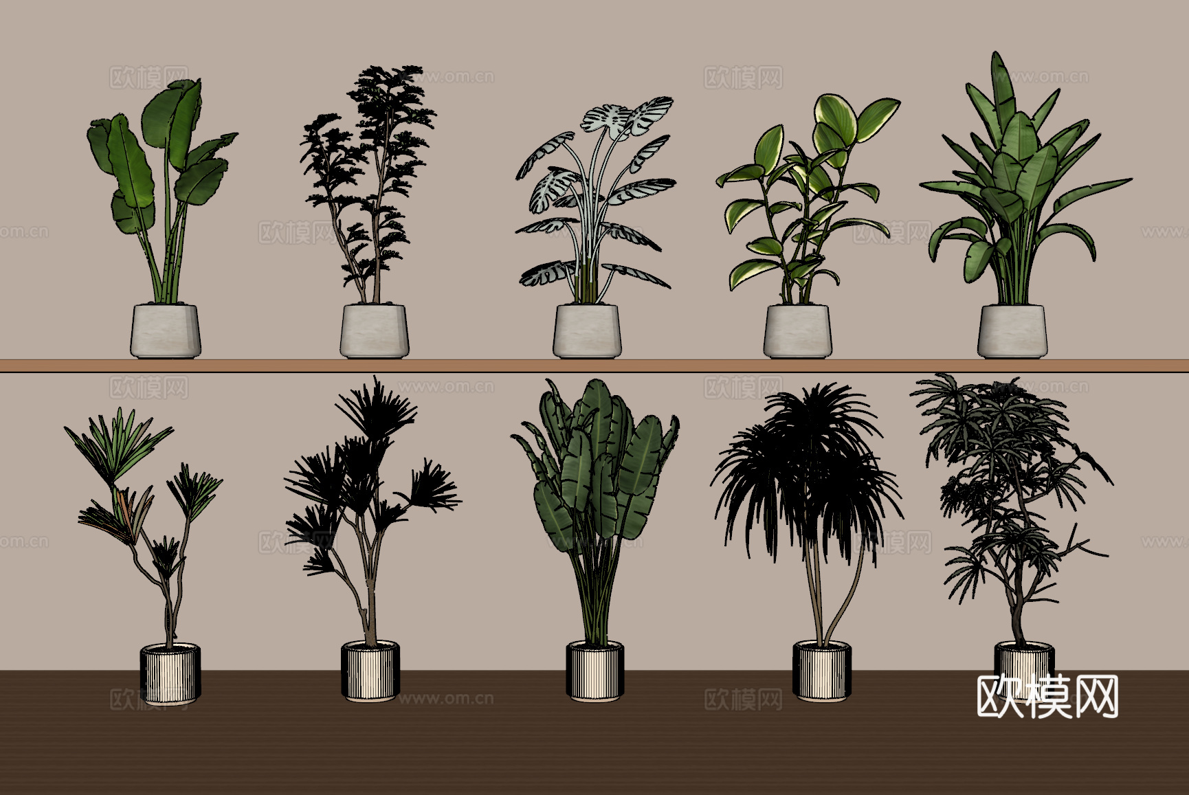 绿植盆栽组合su模型