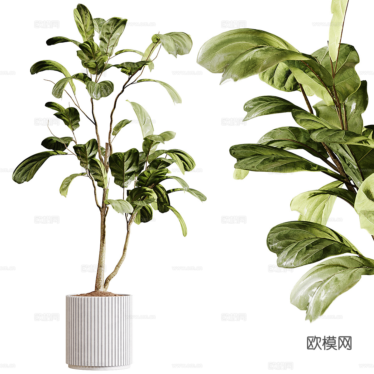现代奶油风绿植盆栽3d模型