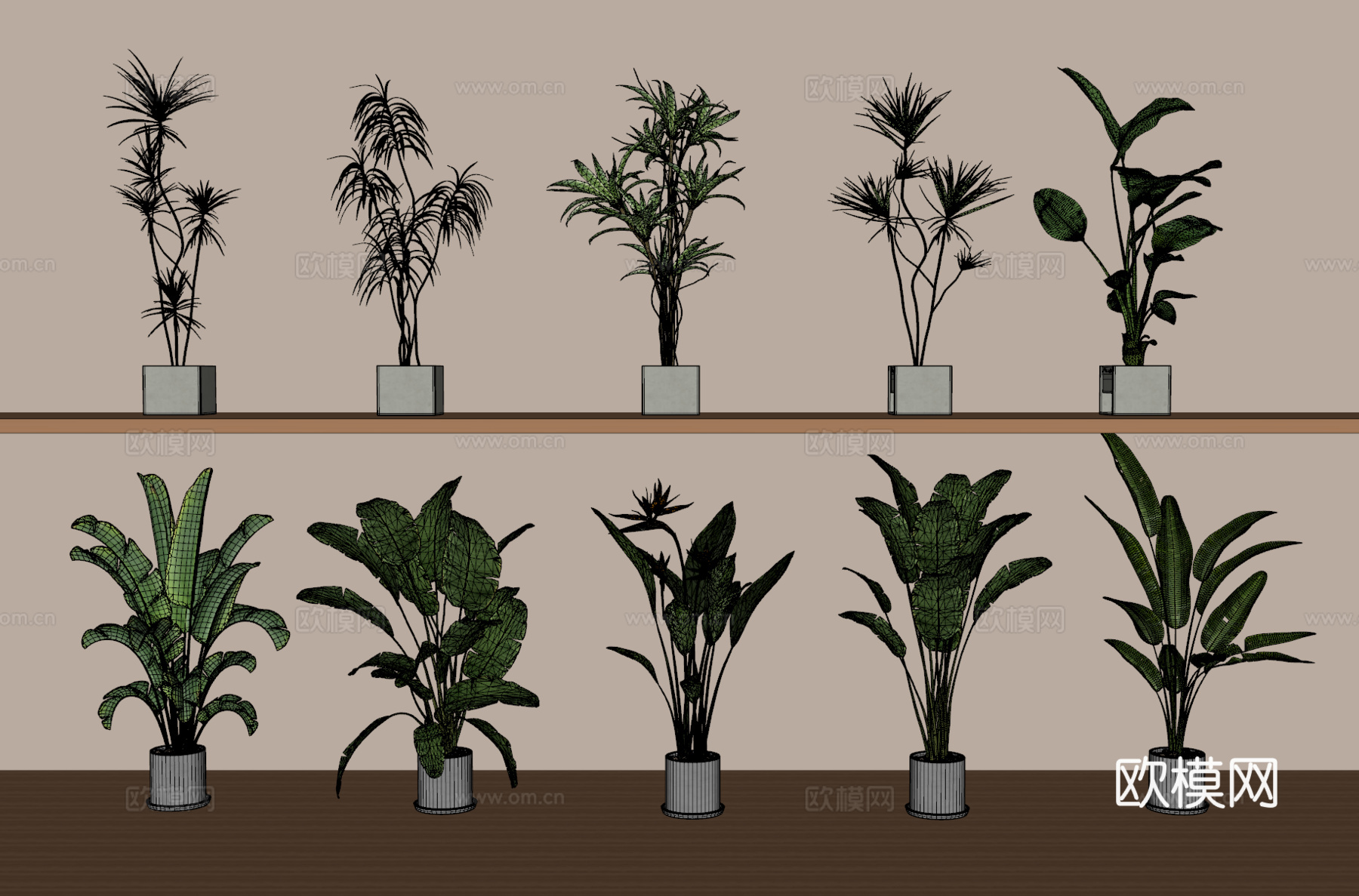 绿植盆栽组合su模型