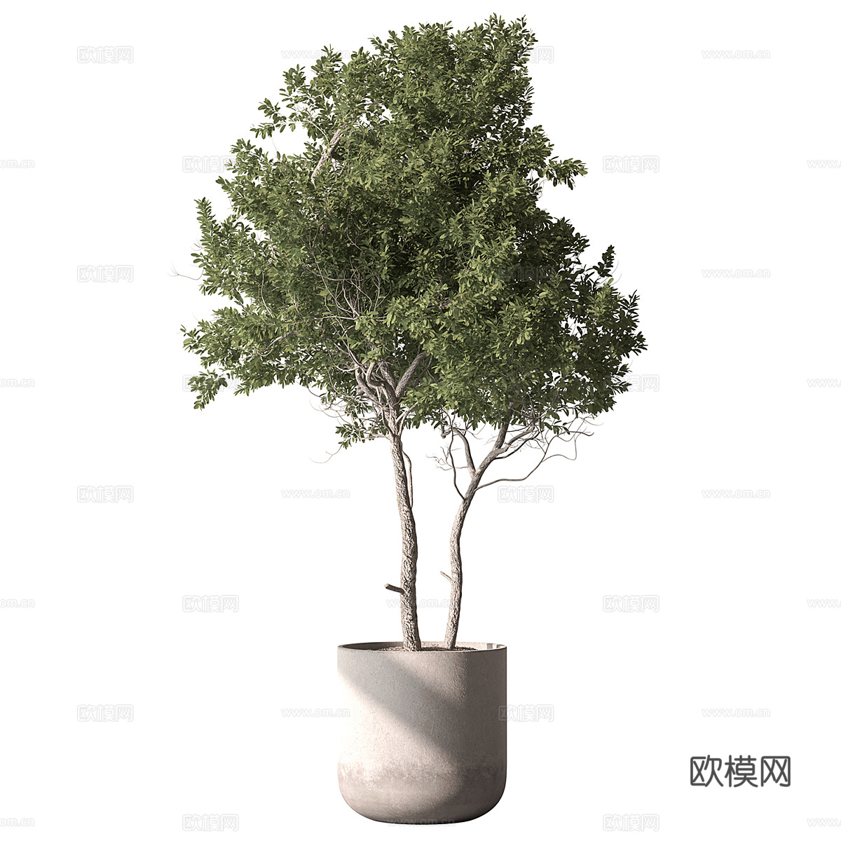现代奶油风绿植盆栽3d模型