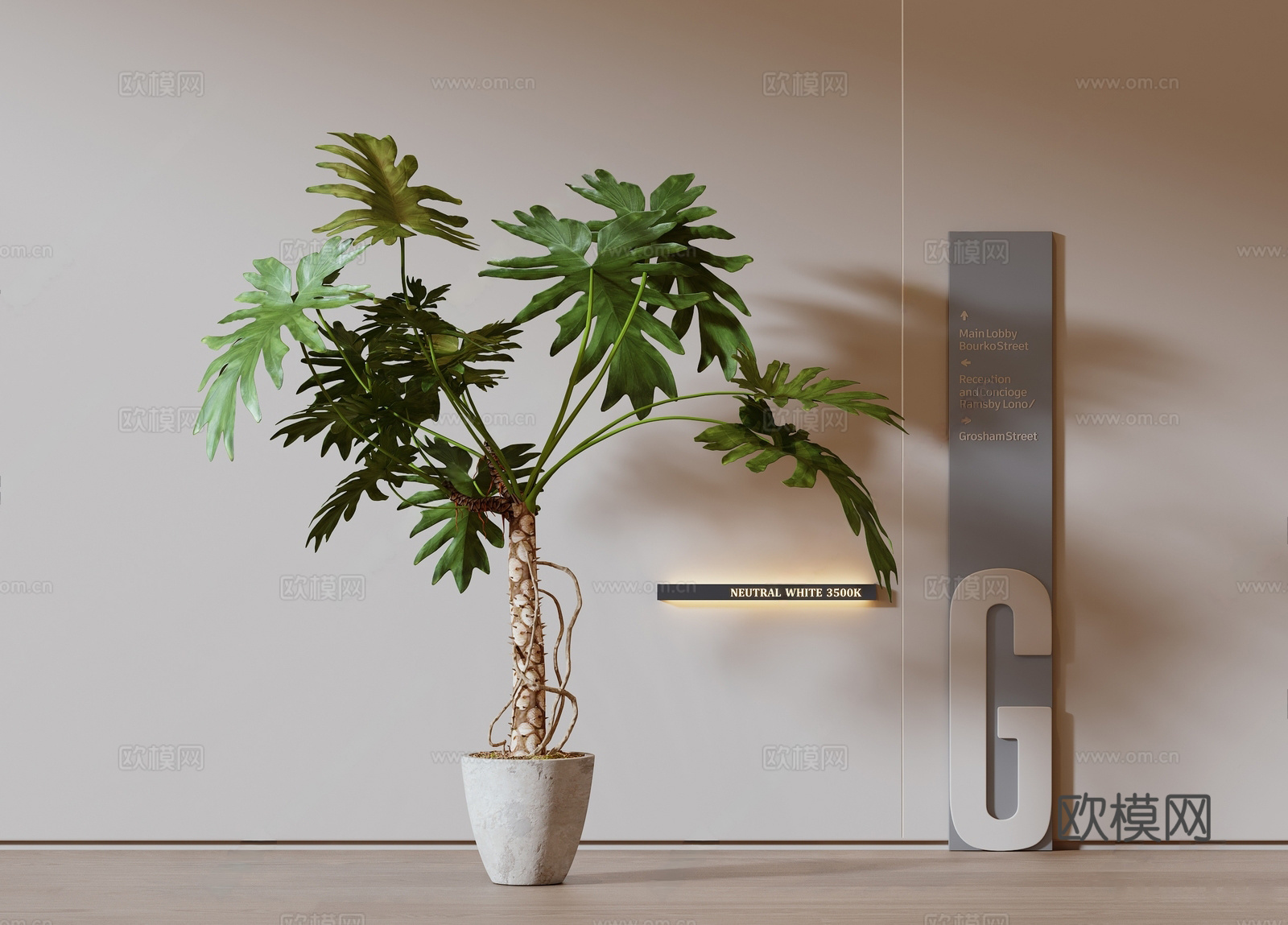 现代绿植 盆栽 龙鳞春羽 盆栽 落地绿植3d模型