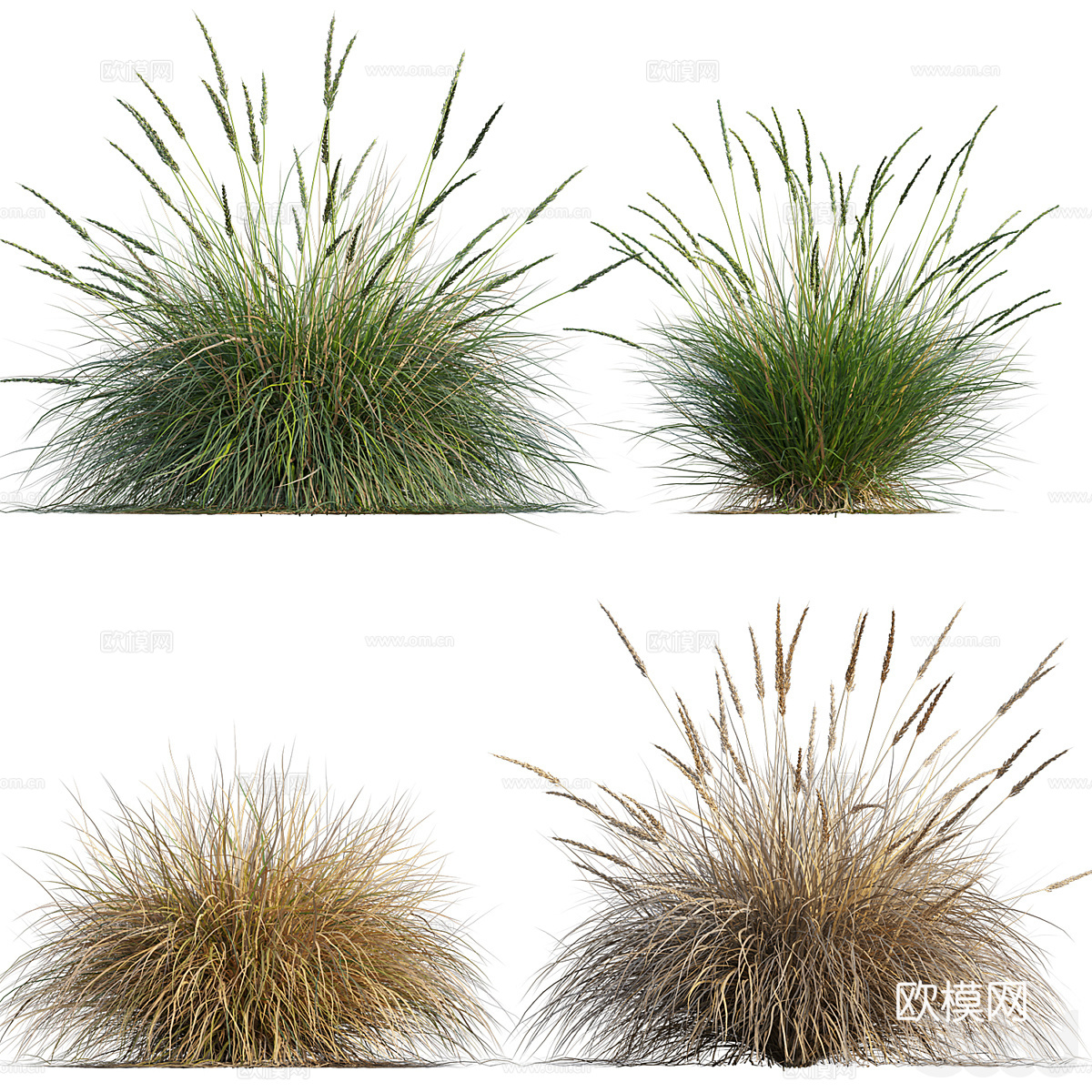 鹿草3d模型