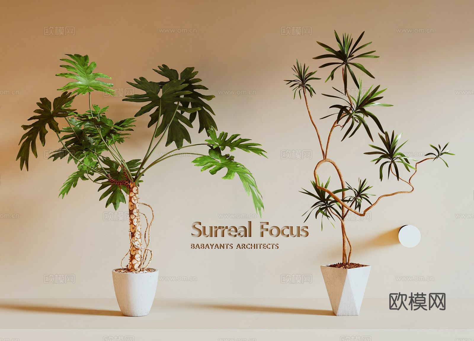 现代绿植 盆栽 花瓶 花盆 龙鳞春羽 天堂鸟3d模型