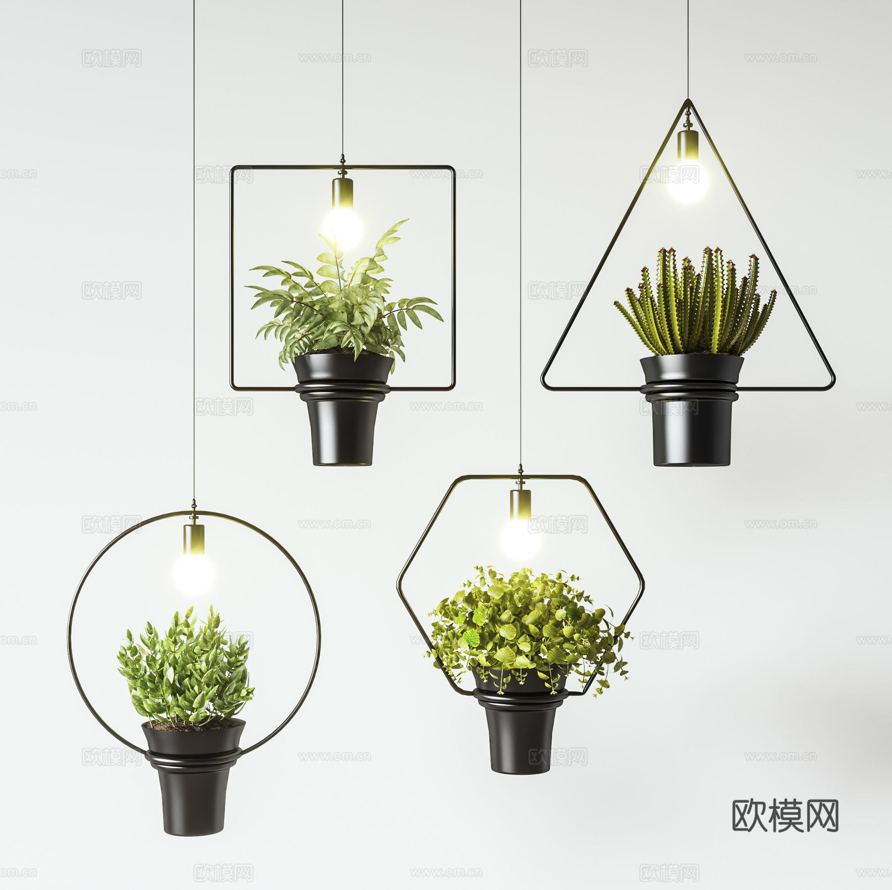 现代简约植物吊灯 几何形状吊灯 绿植植物灯吊饰 装饰吊灯 北3d模型