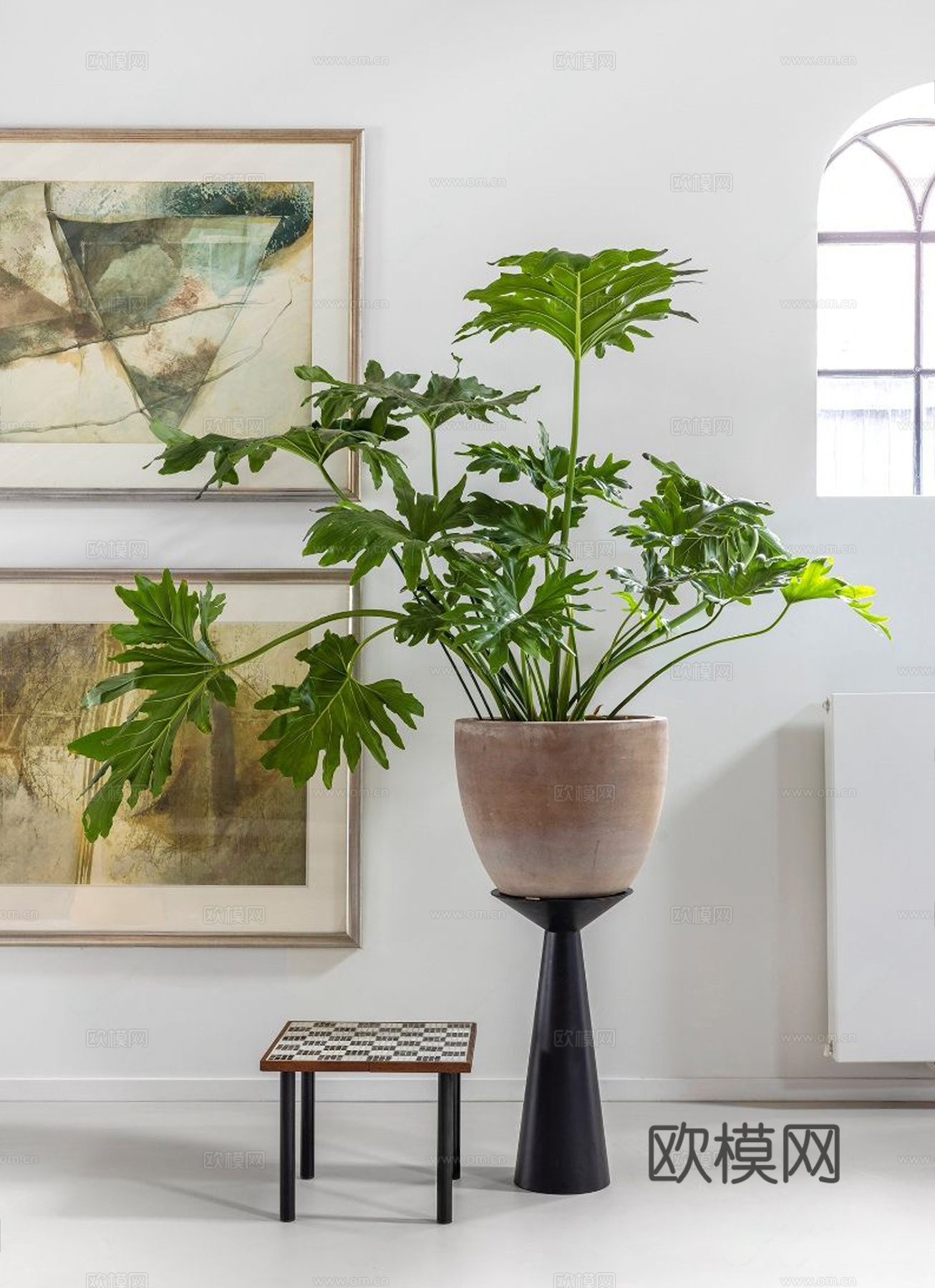 现代室内绿植盆栽 龟背植物盆栽 盆栽 龟背竹3d模型