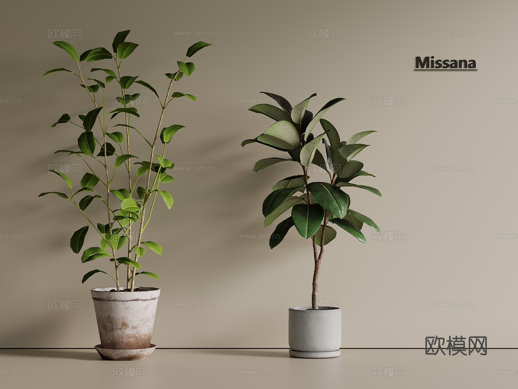绿植 盆栽 多肉 绿萝 松树 罗汉松 花盆3d模型