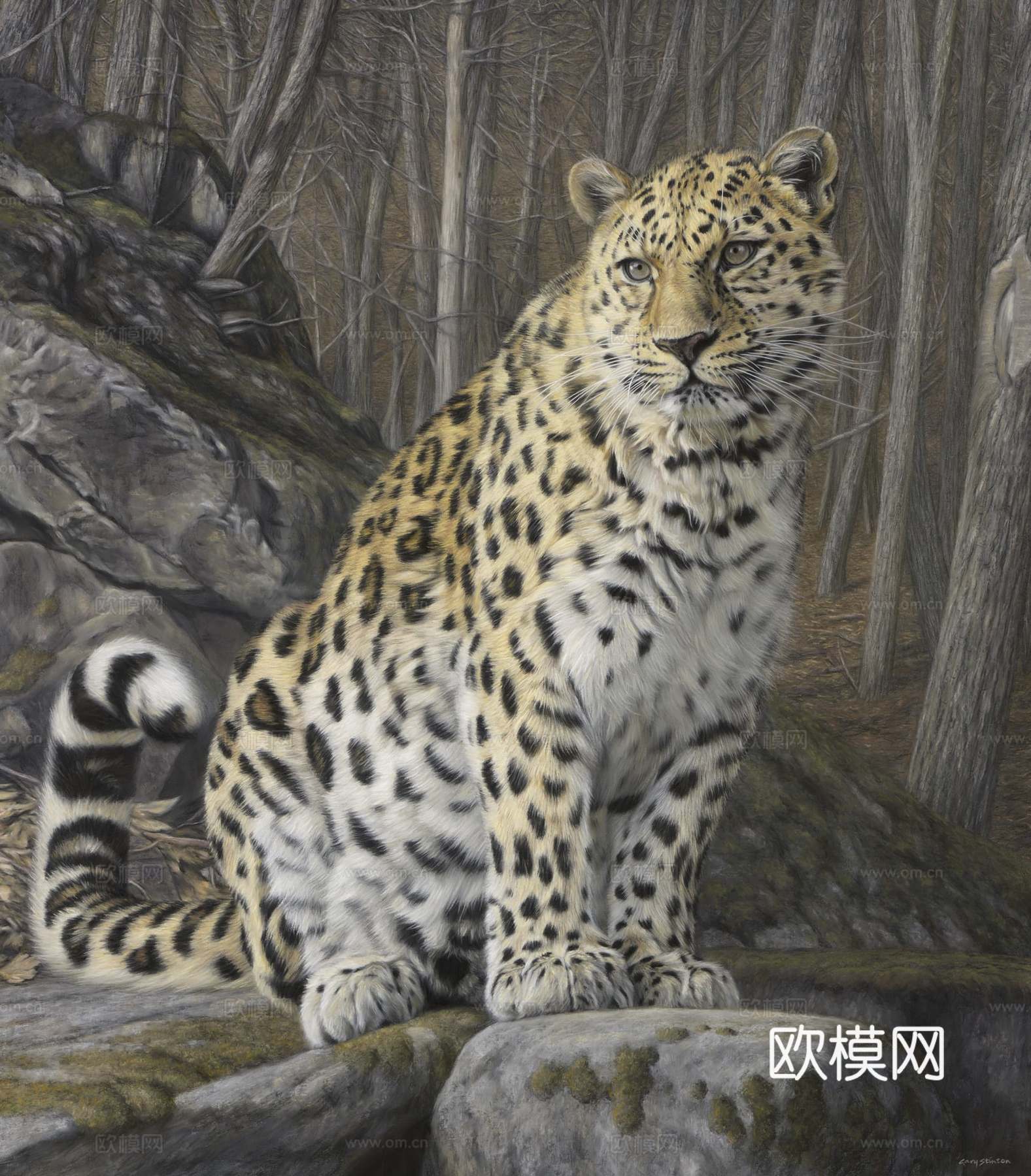 艺术挂画