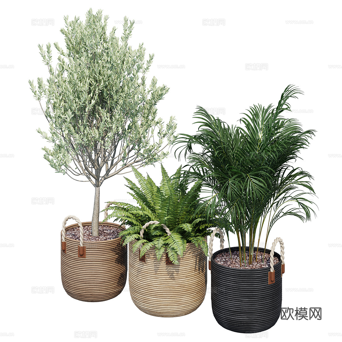 现代侘寂绿植盆栽3d模型