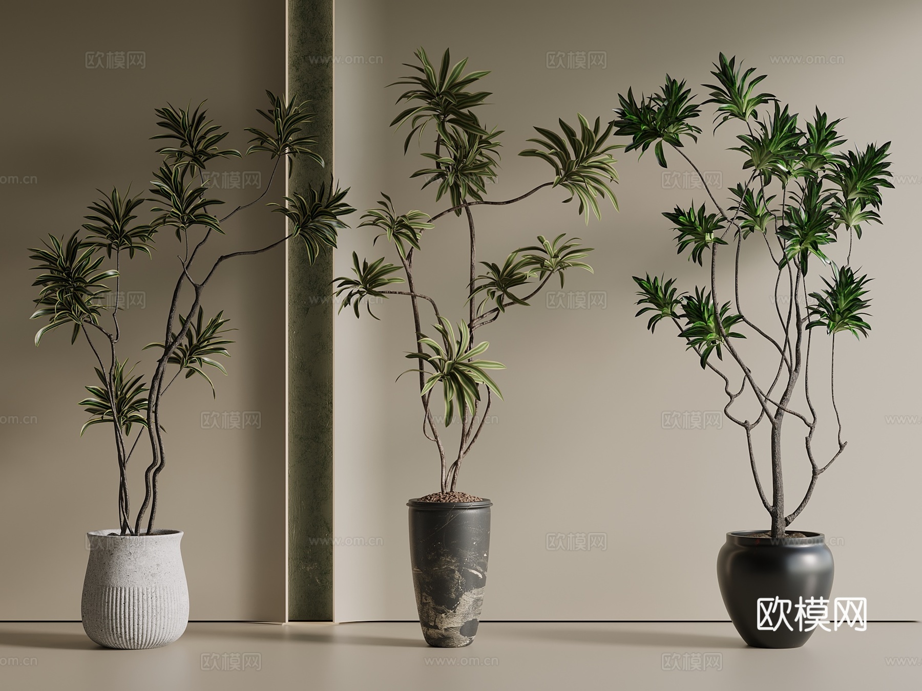 盆栽 松树 罗汉松 多肉 花盆 绿植su模型