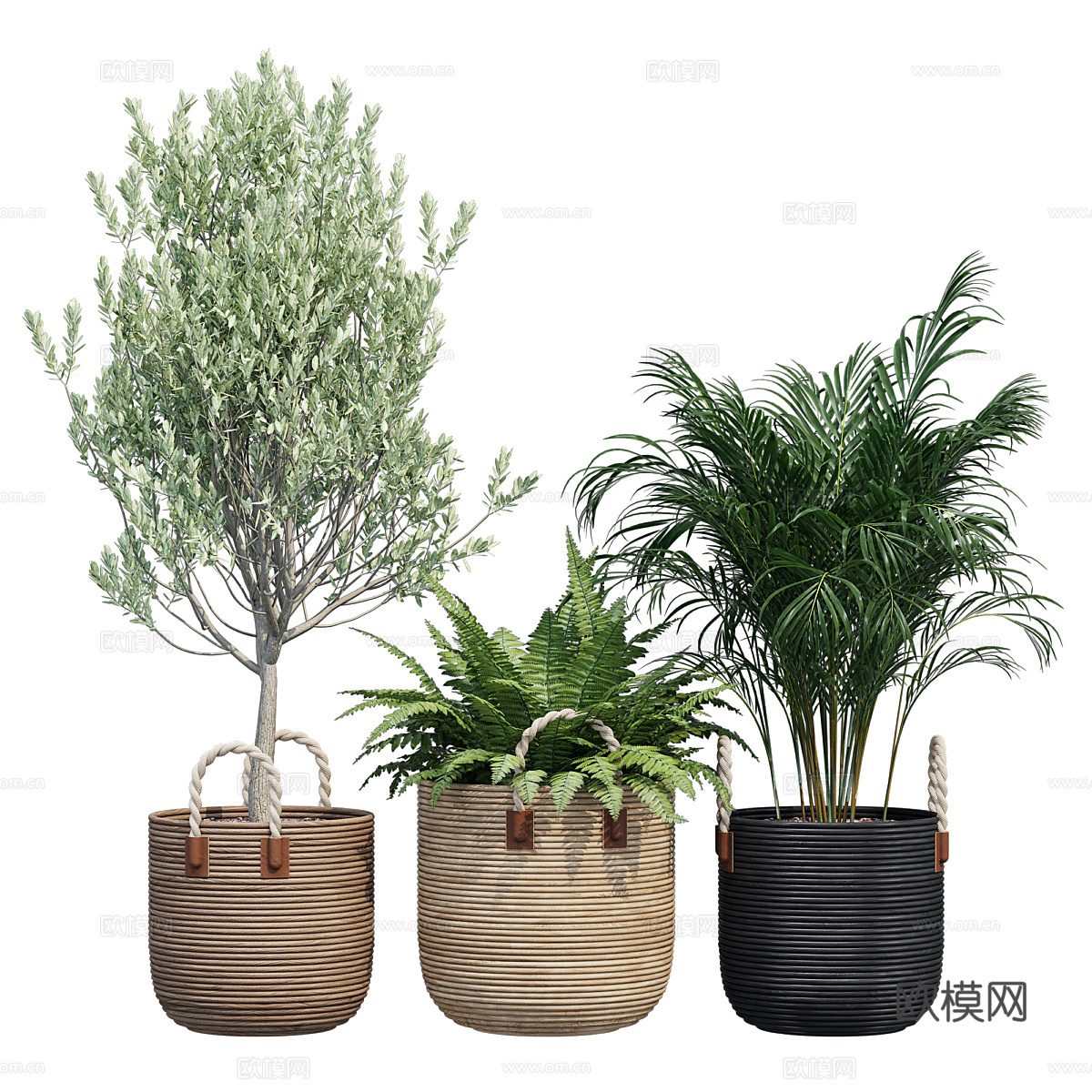 现代侘寂绿植盆栽3d模型