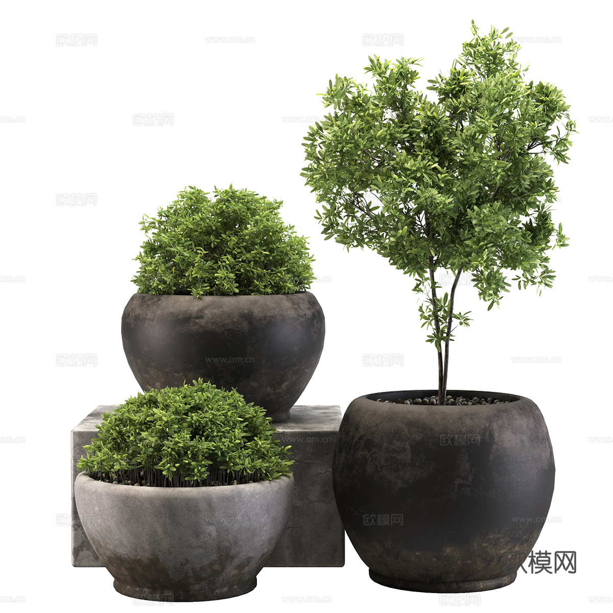 绿植盆栽3d模型