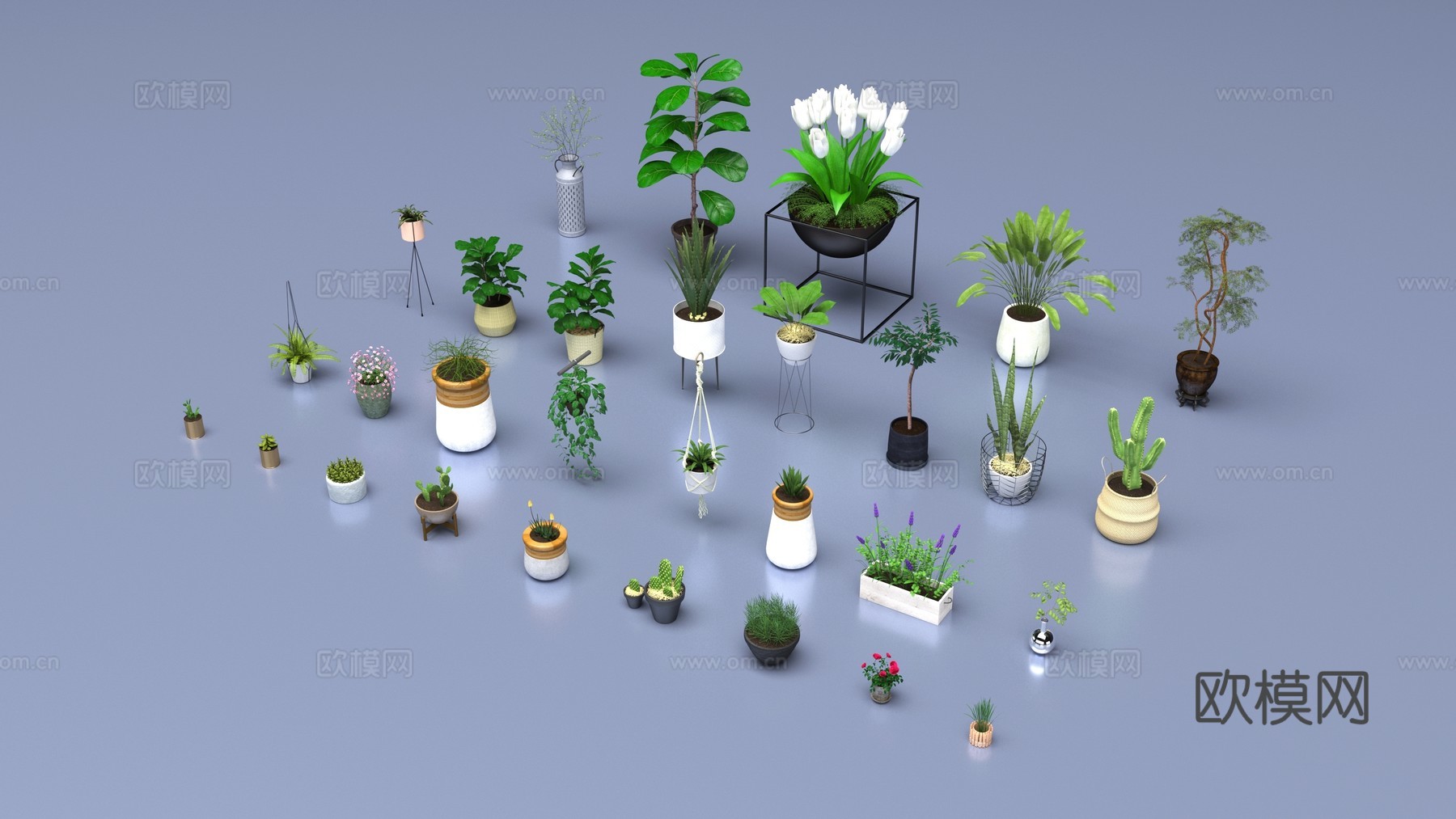 花卉组合3d模型