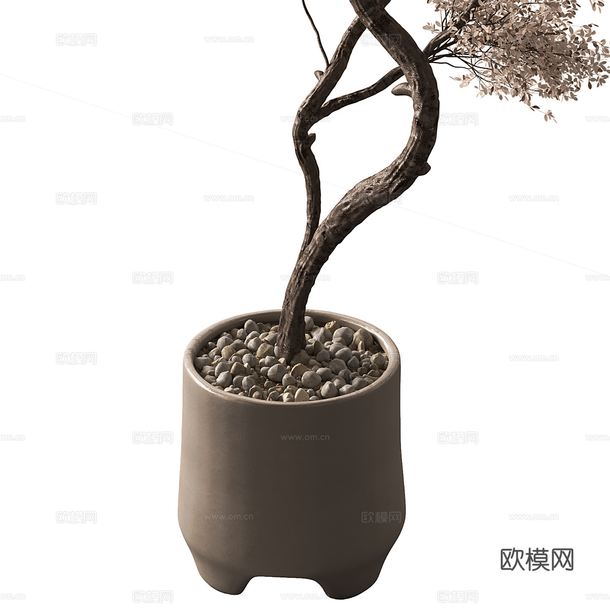 新中式侘寂干树盆栽 盆景3d模型