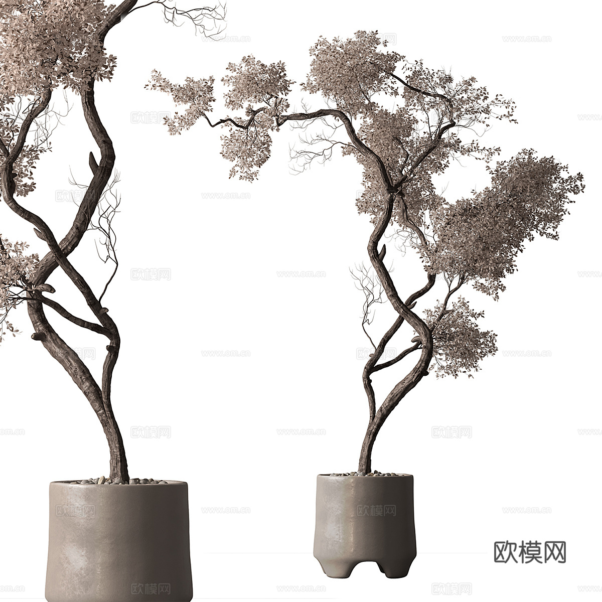 新中式侘寂干树盆栽 盆景3d模型
