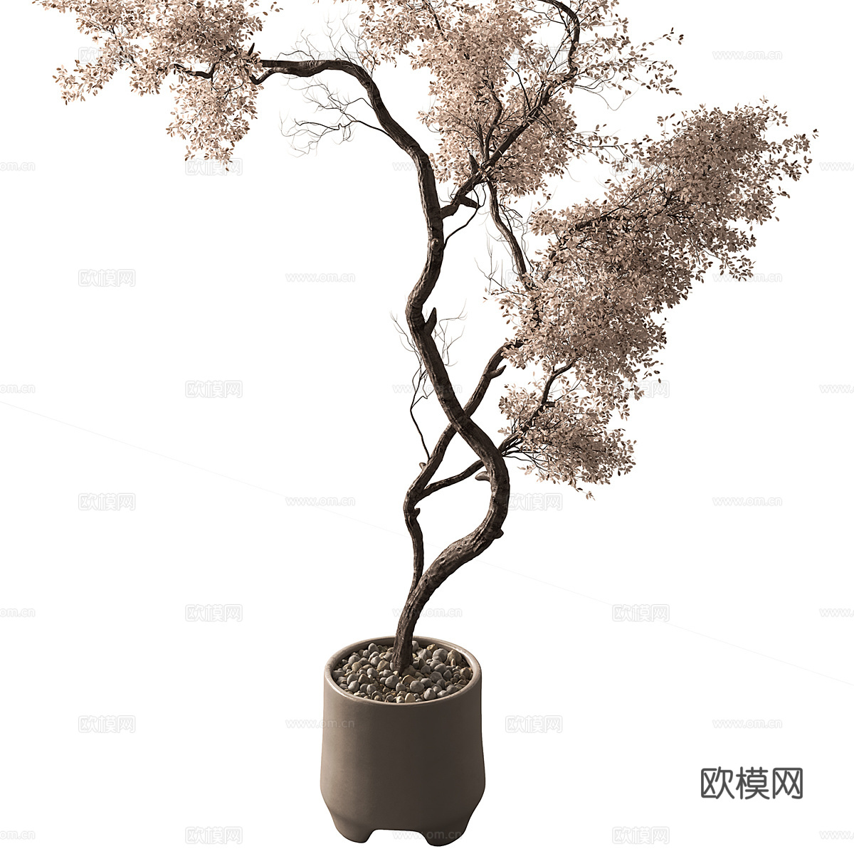 新中式侘寂干树盆栽 盆景3d模型