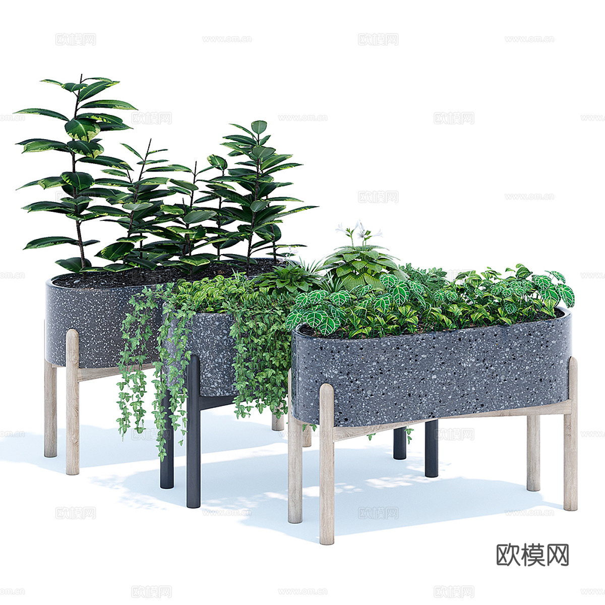 现代北欧绿植盆栽3d模型