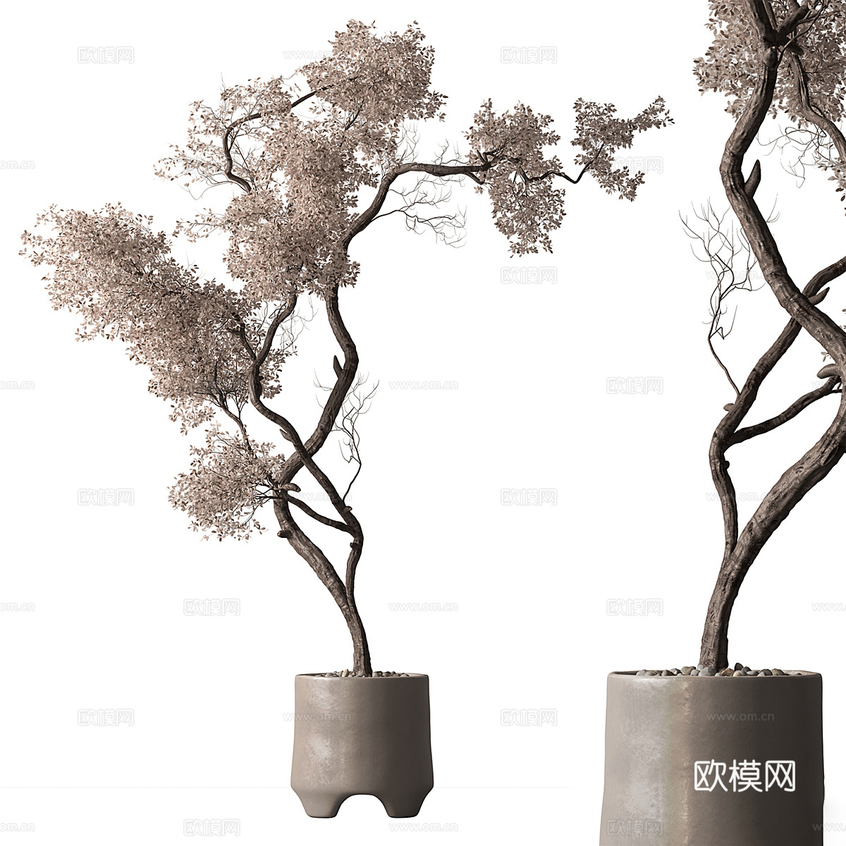 新中式侘寂干树盆栽 盆景3d模型