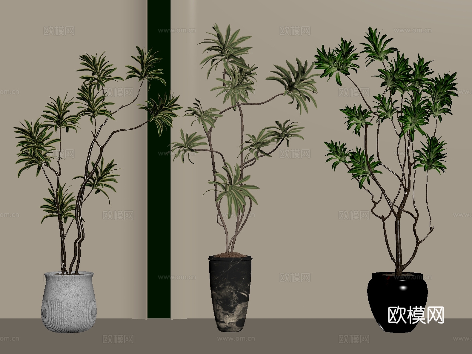 盆栽 松树 罗汉松 多肉 花盆 绿植su模型