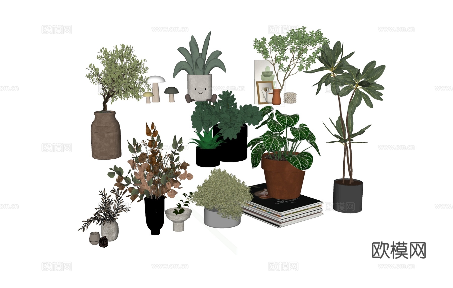 植物盆栽绿植su模型