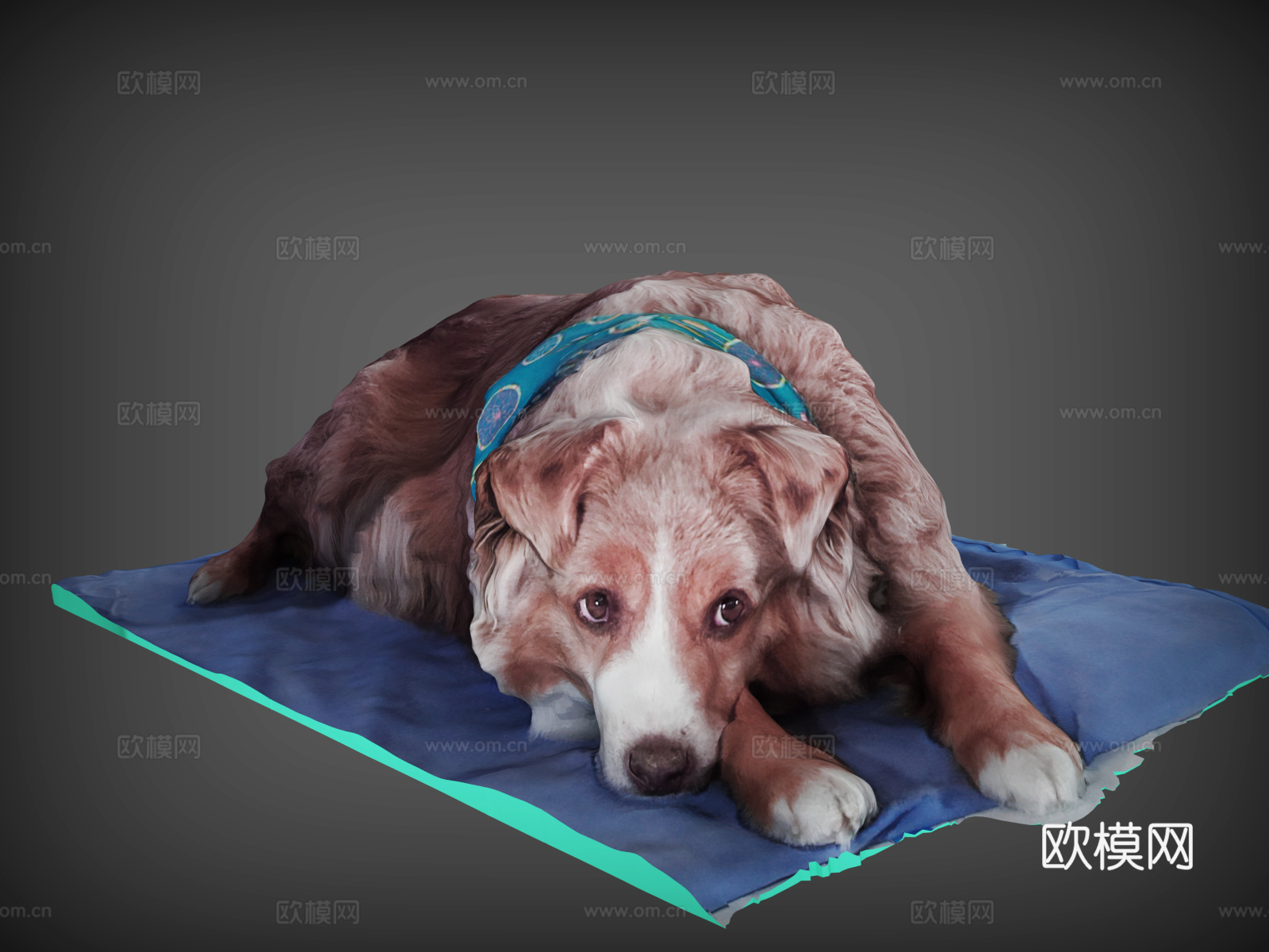 狗  宠物狗  金毛  拉布拉多  牧羊犬  趴着的狗3d模型