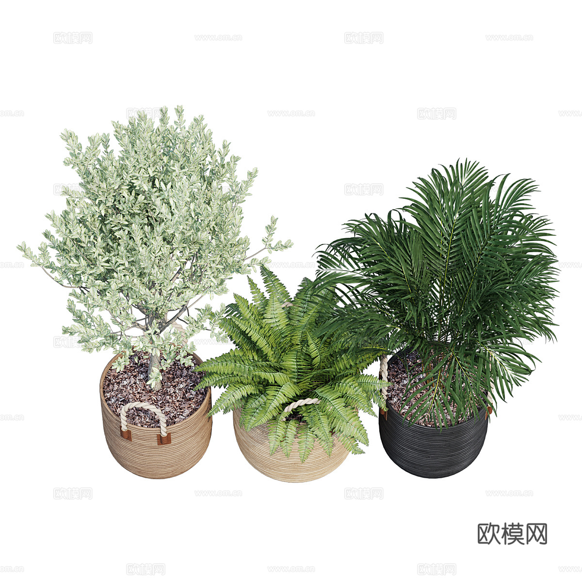 现代侘寂绿植盆栽3d模型