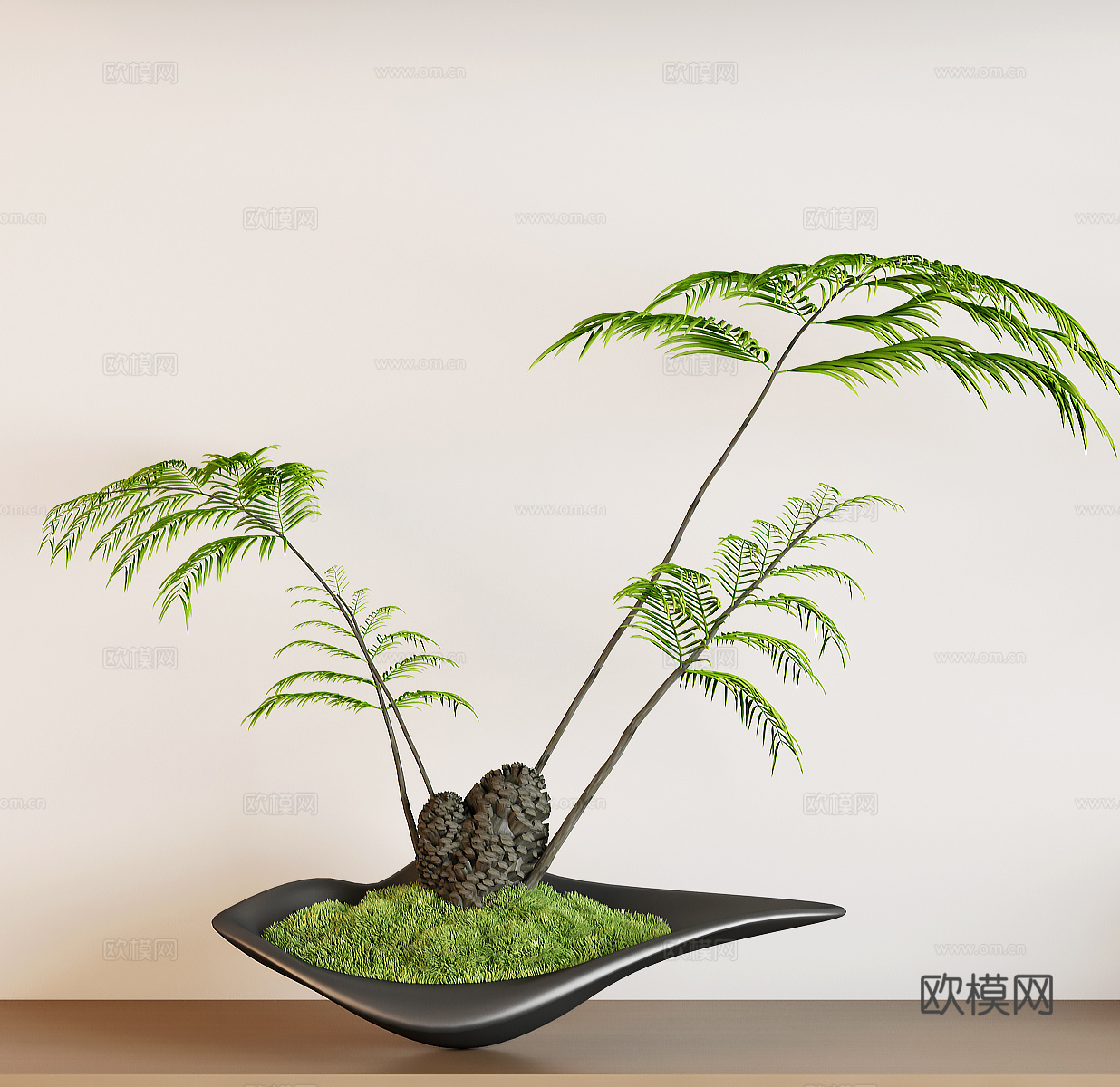 蕨类盆栽 绿植盆栽 盆栽 苔藓su模型