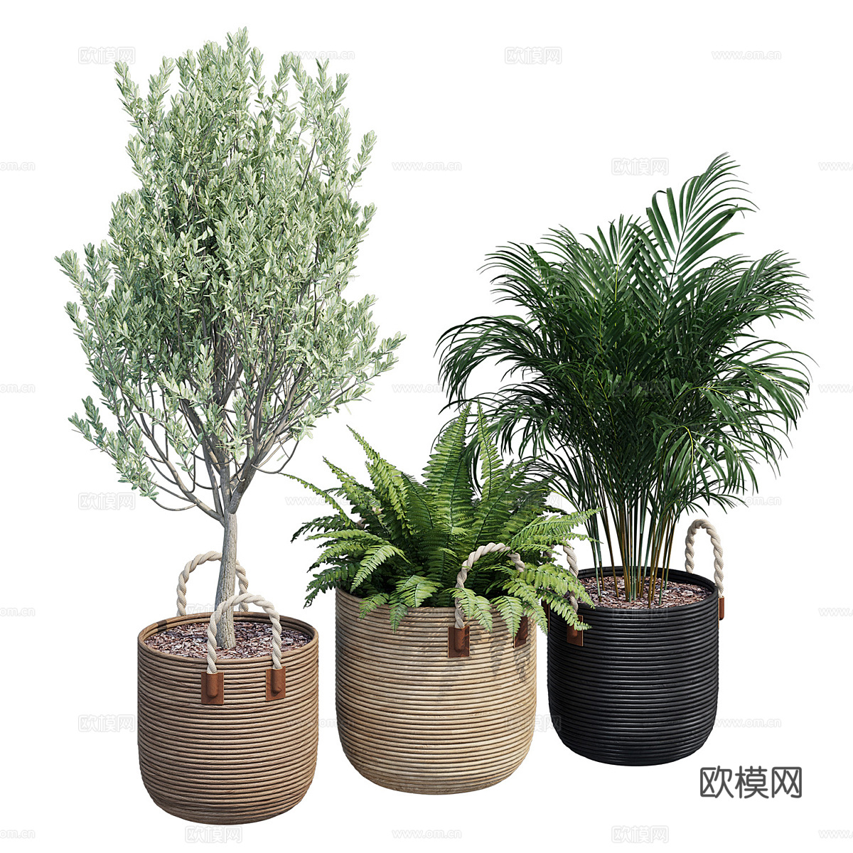 现代侘寂绿植盆栽3d模型