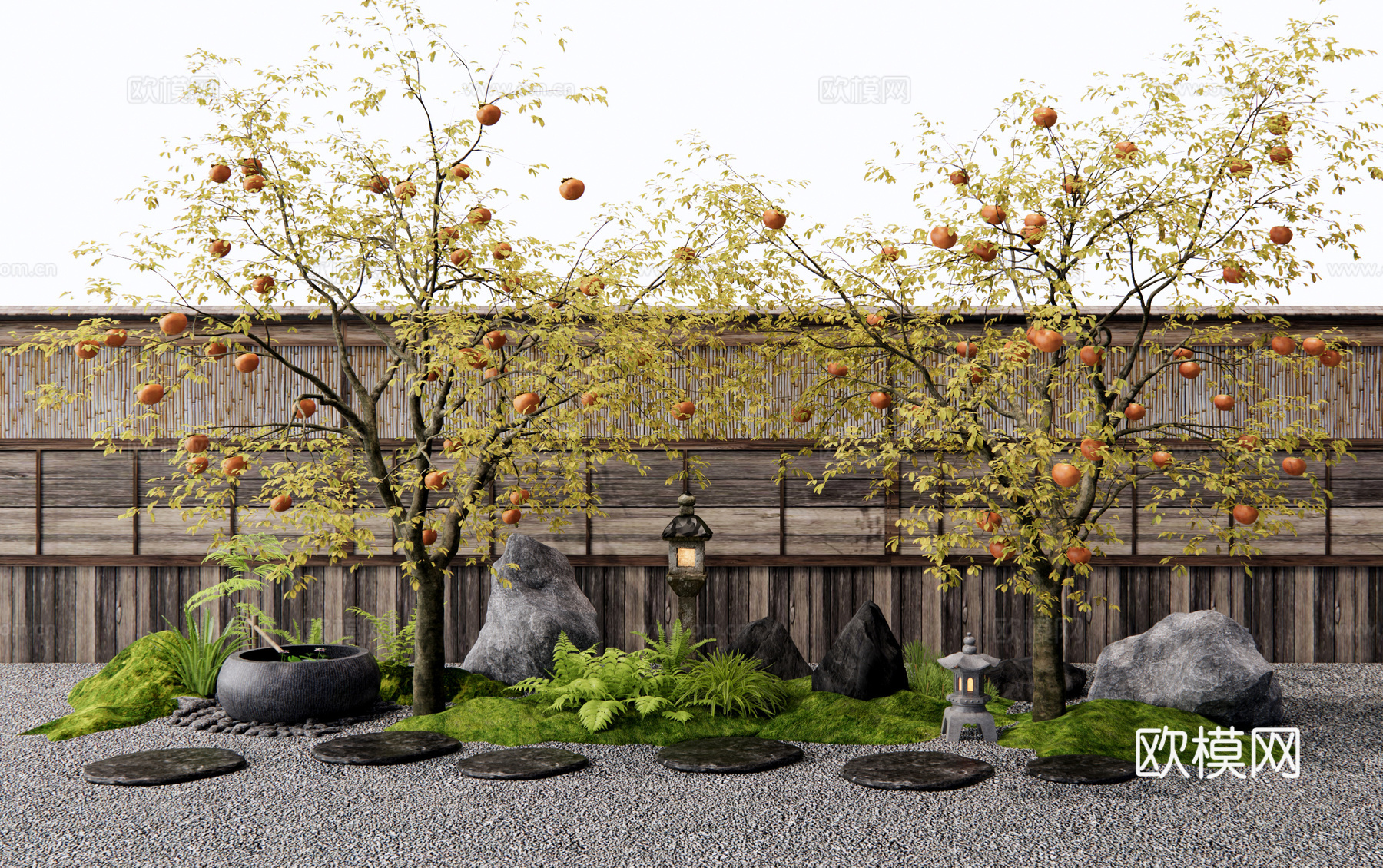 日式柿子树 乔木 景观树 庭院景观小品 水钵 汀步 植物造景3d模型