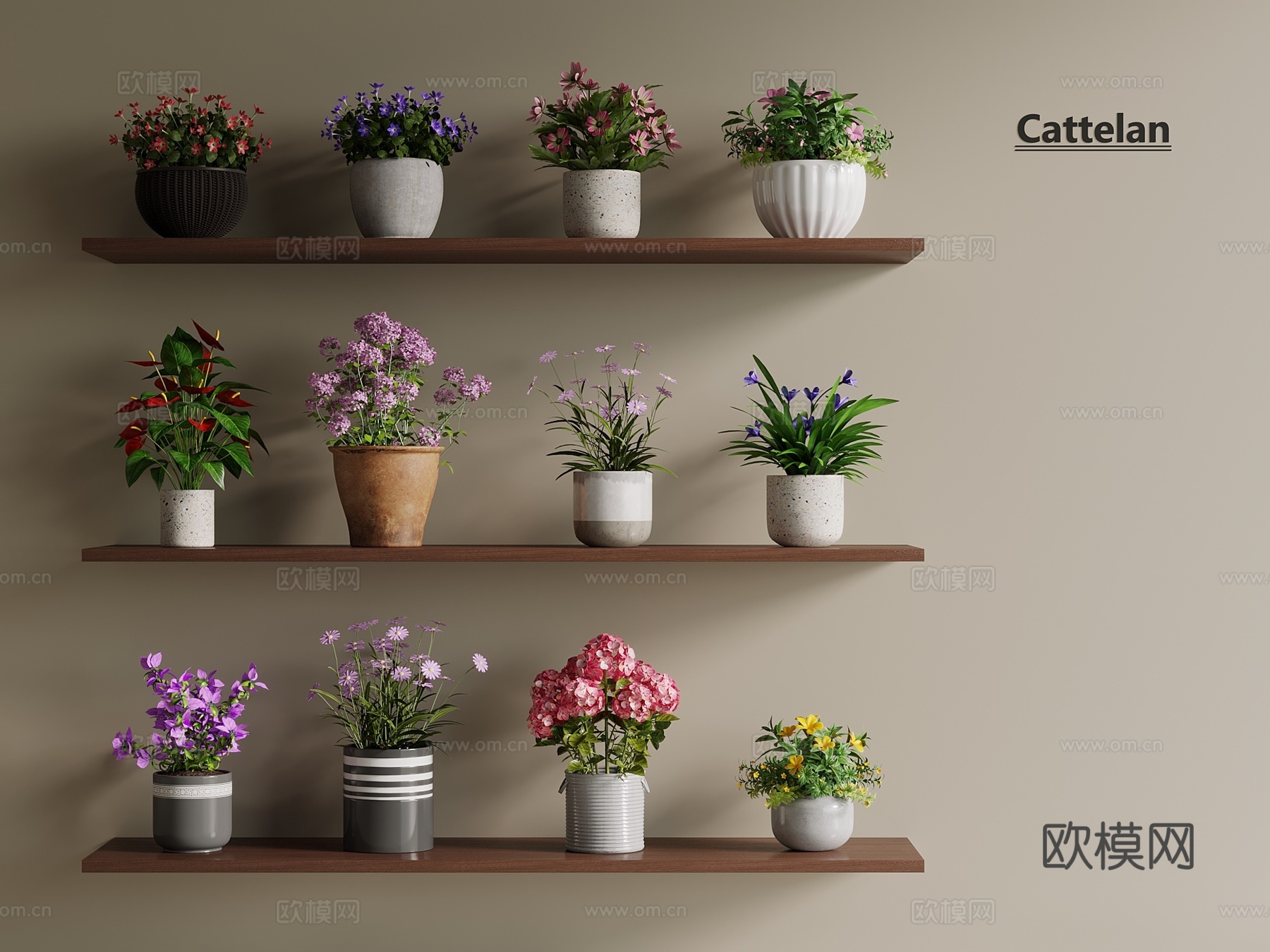 侘寂 奶油 花盆 花卉 盆栽 绿植 花3d模型