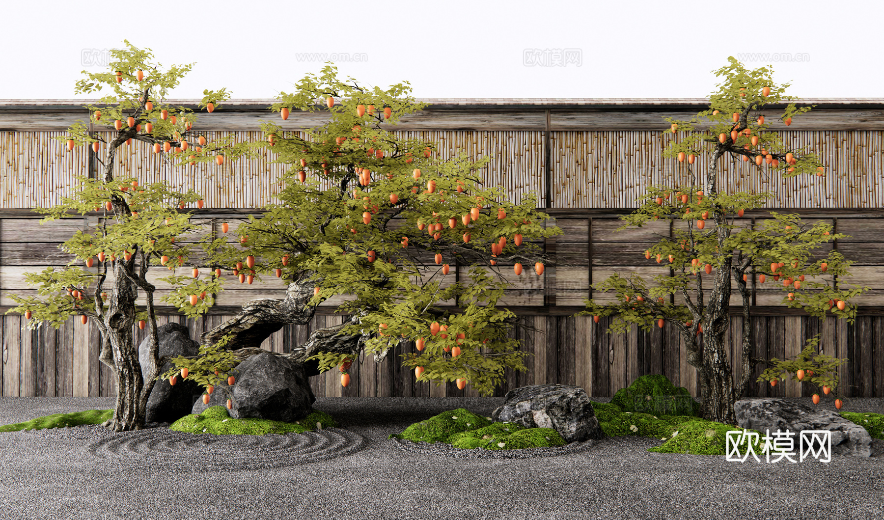 中式柿子树 景观树 乔木 老桩果树 橘子树 石头微地形 苔藓3d模型