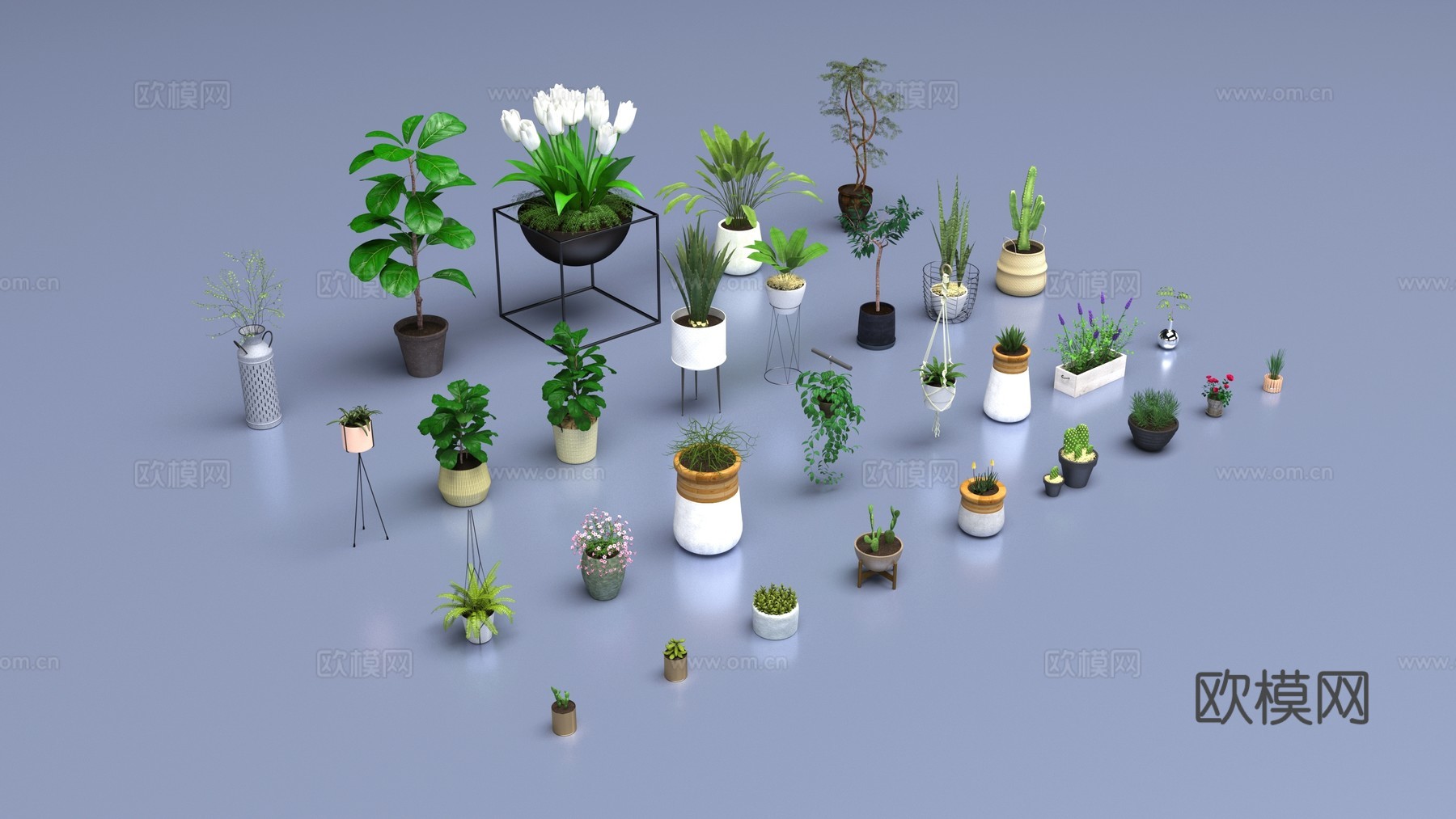 花卉组合3d模型