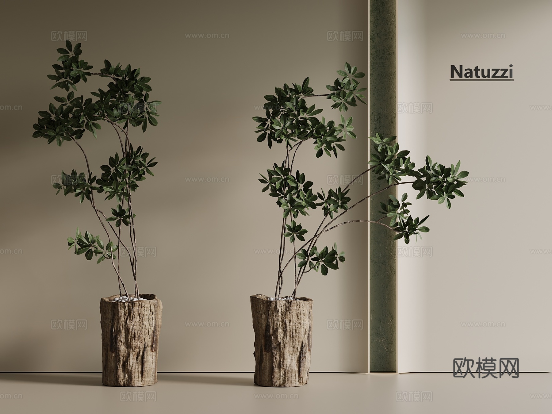 盆栽 绿萝 吊钟 绿植 花盆3d模型