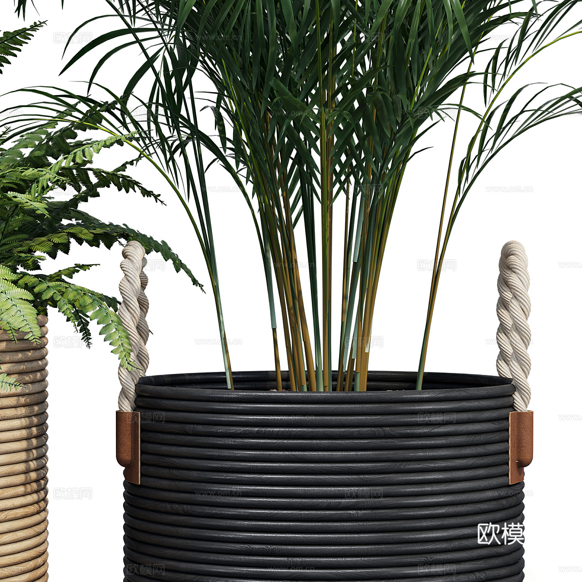 现代侘寂绿植盆栽3d模型