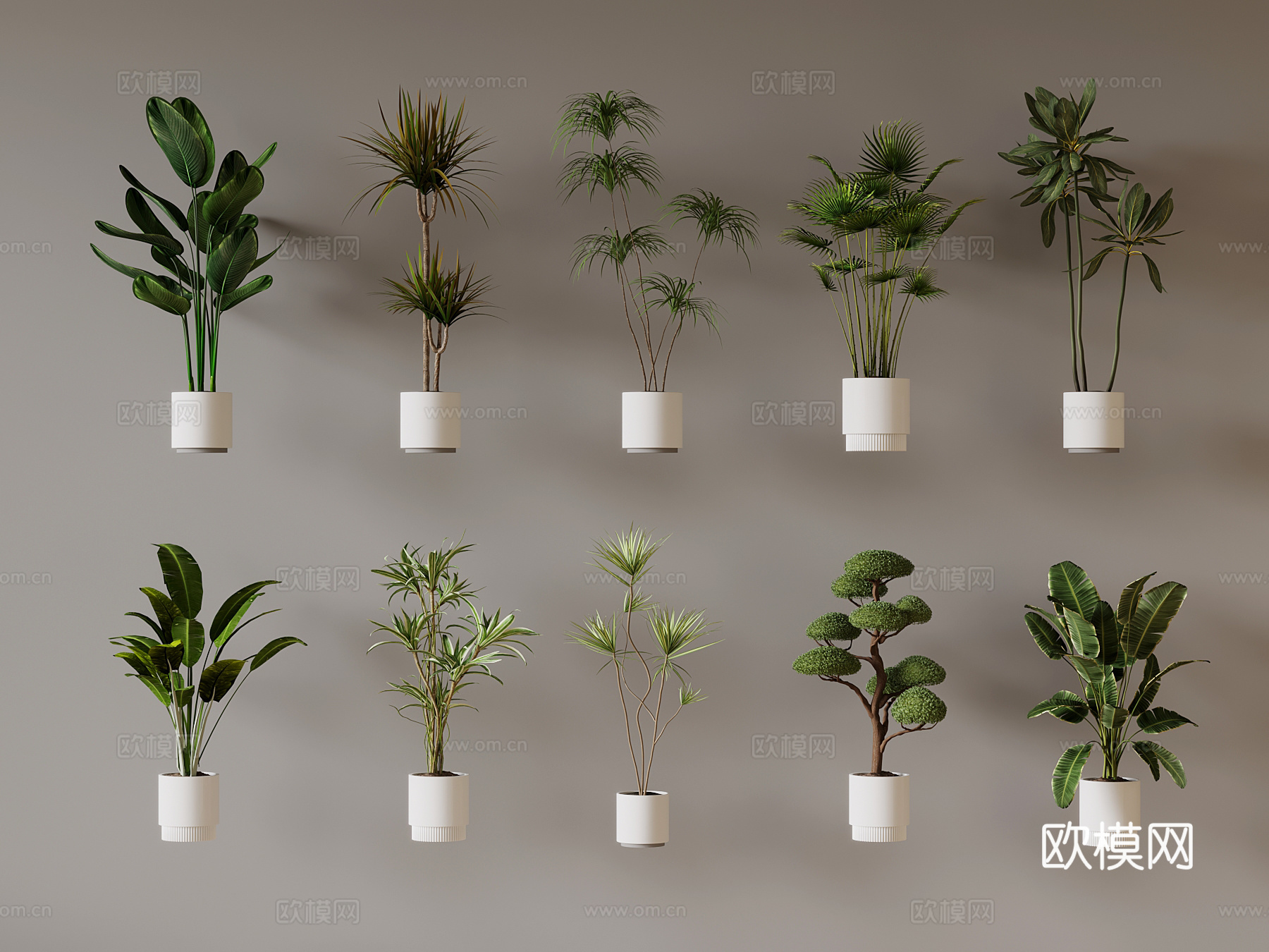 现代盆栽 绿植3d模型下载
