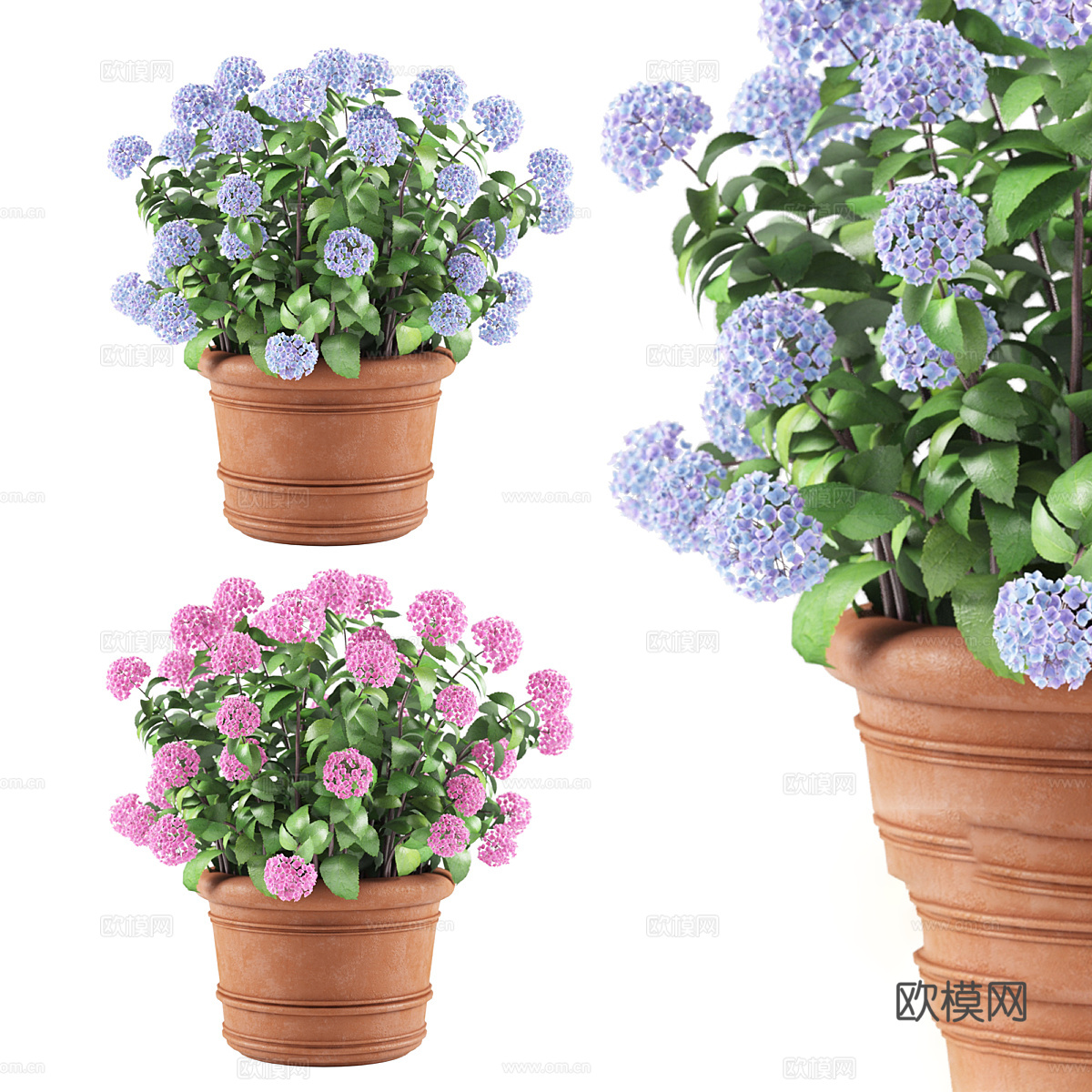 现代北欧绣球花 花盆3d模型
